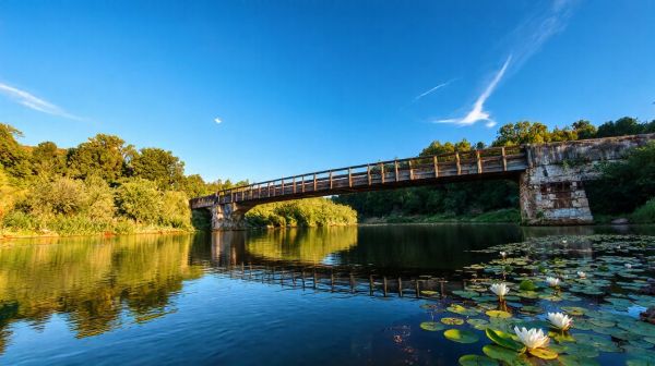 Guide pratique pour profiter des baignades en rivière au Périgord blanc